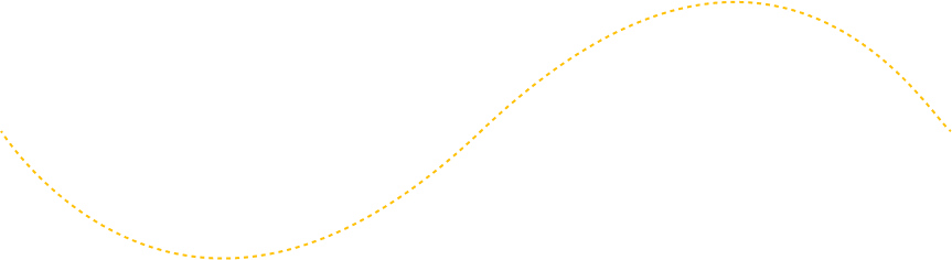 Decorative line connecting Trumansburg NY Taxi Service booking steps